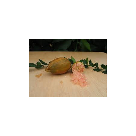 Limão Caviar Agata ( Microcitrus Australasica)