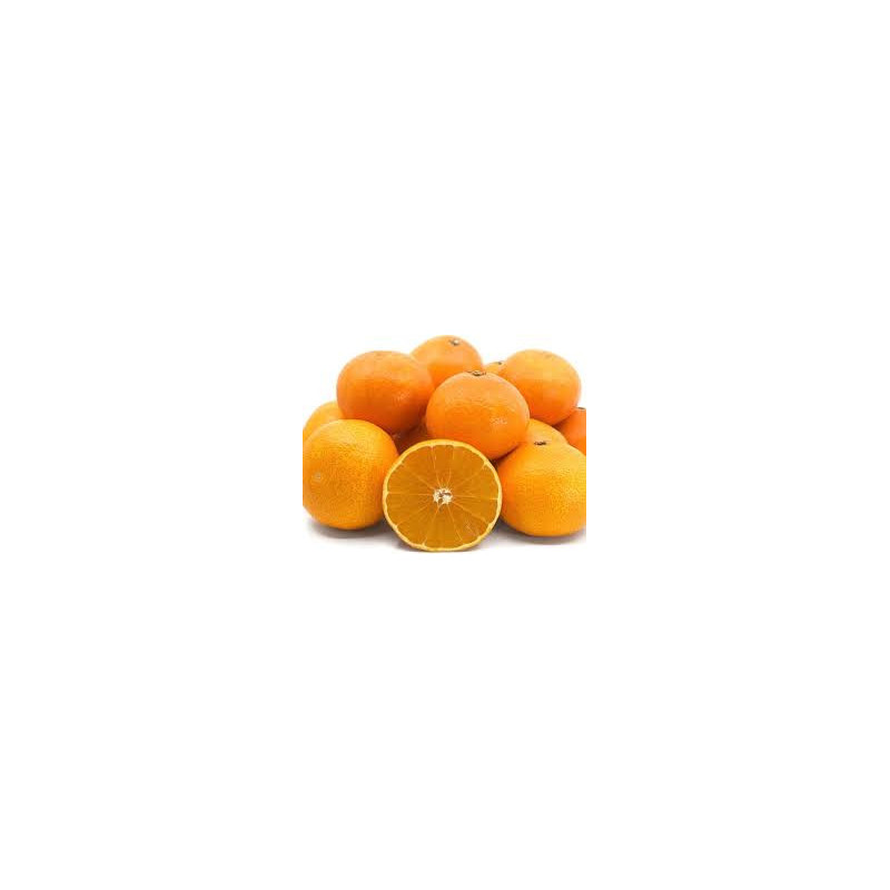 Tangor Beni Madonna ( Citrus Reticulata)