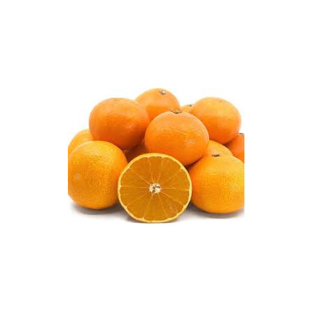Tangor Beni Madonna ( Citrus Reticulata)