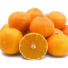 Tangor Beni Madonna ( Citrus Reticulata)