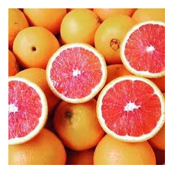 Laranja Cara Cara ( Citrus Sinensis)