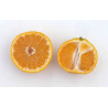 Tangerina Satsuma Xie Shan ( Citrus Unshiu Marcovich Xie Shan)