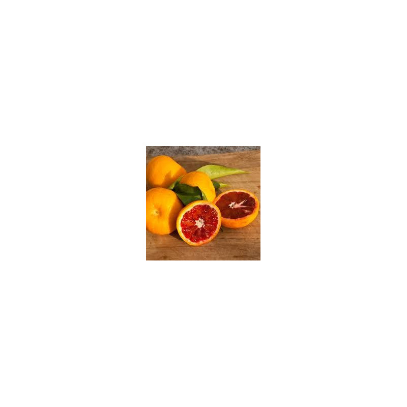 Clementina Rosso ( Citrus X Clementina Var. Rosso)