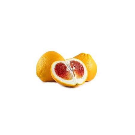 Pomelo Valentine ( Citrus Maxima)