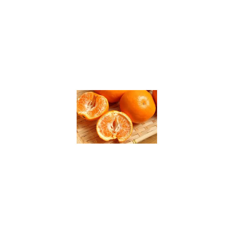 Mandarina Harumi ( Citrus Harumi)