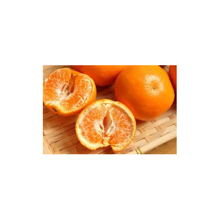Mandarina Harumi ( Citrus Harumi)