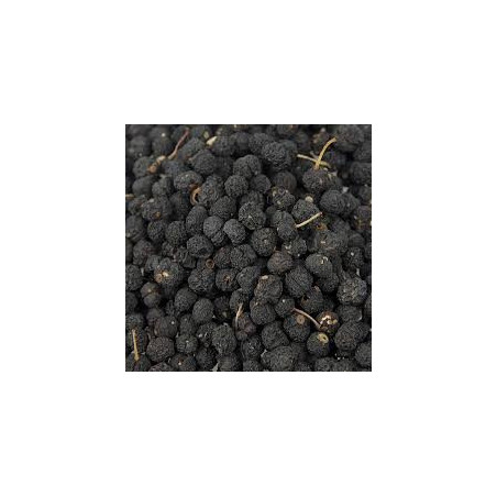 Pimenta da Tasmânia Preta ( Tasmannia Lanceolata)