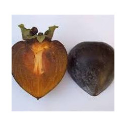 Diospiro Preto Kuro Gaki Enxertada ( Diospyros Kaki)