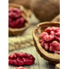 Noz Vermelha Sychrov ( Juglans Regia)