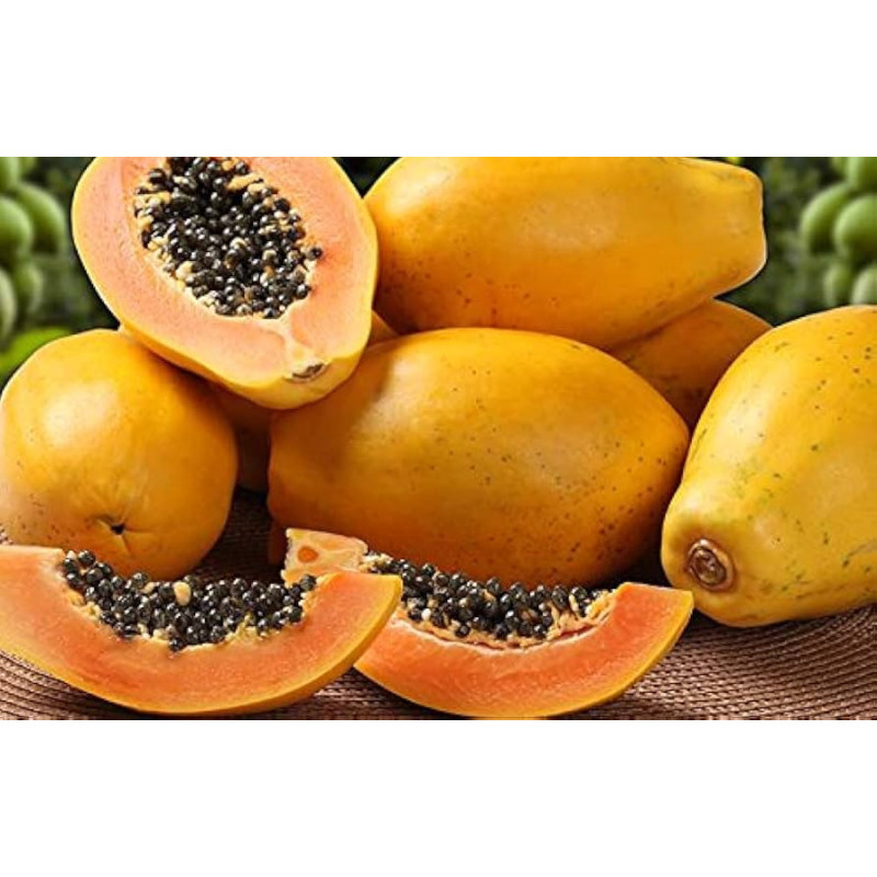 Papaya Sweet Sense