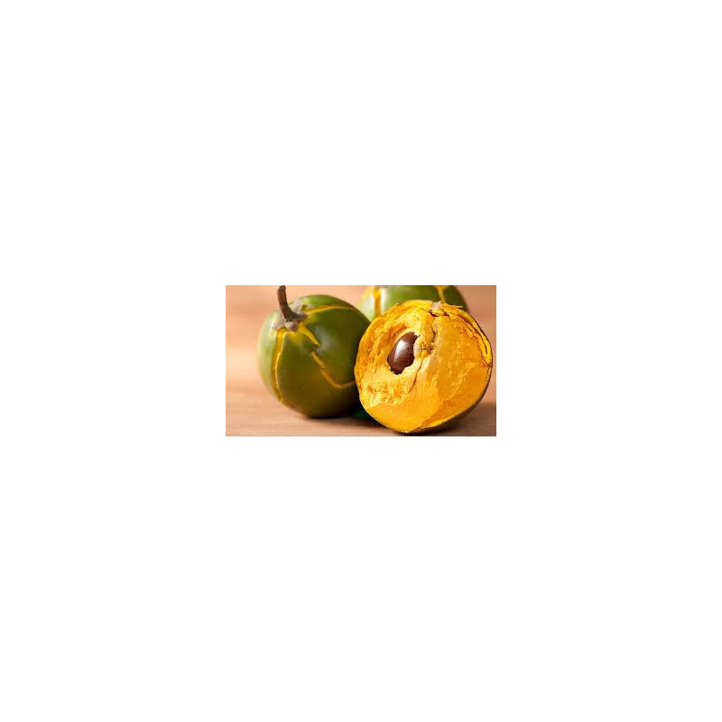 Lucuma