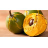 Lucuma
