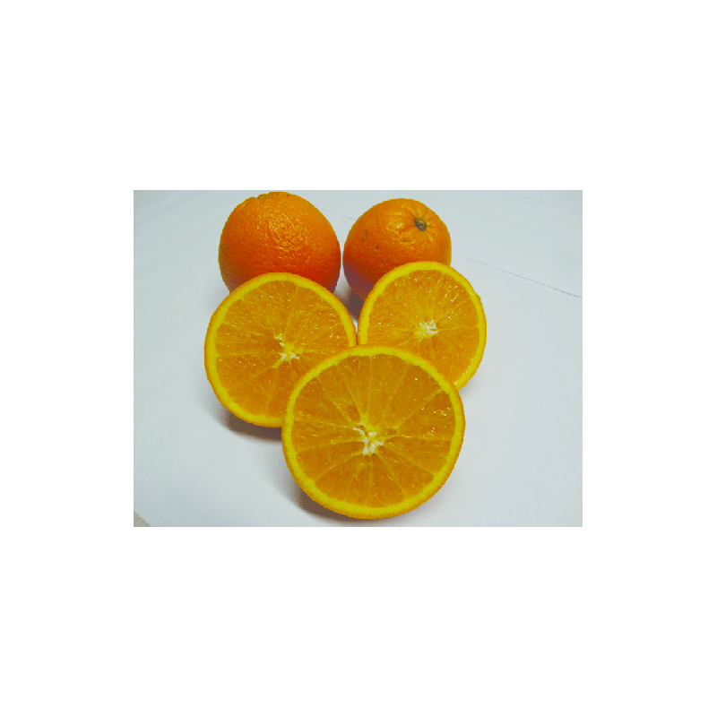 Laranja Lane Late ( Citrus Sinensis)