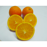Laranja Lane Late ( Citrus Sinensis)
