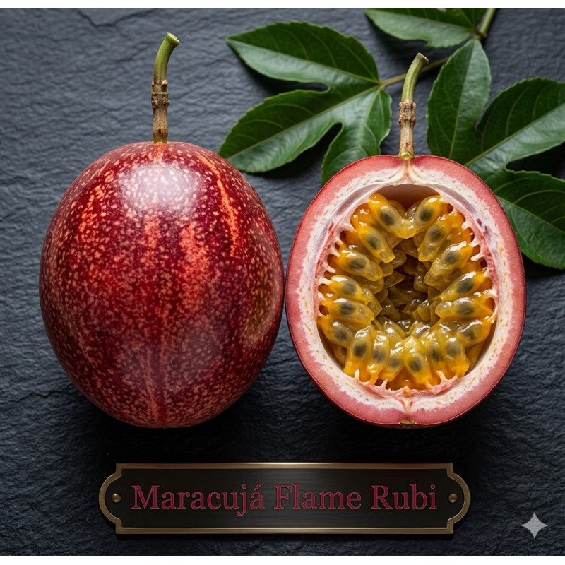 Maracujá Flame Rubi