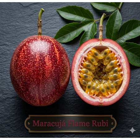 Maracujá Flame Rubi