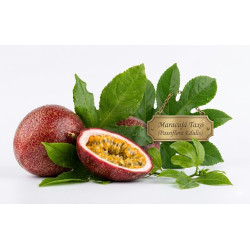 Maracujá Taxo ( Passiflora Edulis)