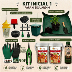 Kit Inicial Principiante