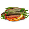 Pimenta Vezanka ( Capsicum  Annuum)