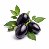 Pimenta Black Olive ( Capsicum  Annuum)