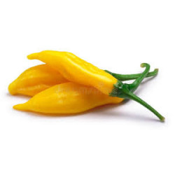 Pimenta Aji Lemon Drop (Capsicum Baccatum) (