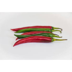 Pimenta Cayenna ( Capsicum Baccatum)