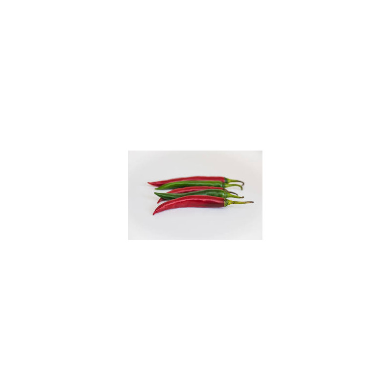 Pimenta Cayenna ( Capsicum Baccatum)