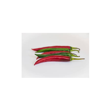 Pimenta Cayenna ( Capsicum Baccatum)