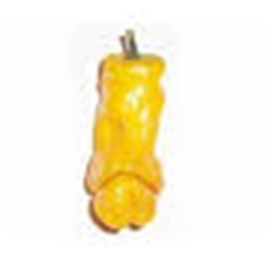 Pimenta Peter Pepper Amarelo ( Capsicum  Annuum)