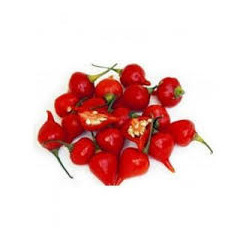 Pimenta Biquinho Red (
