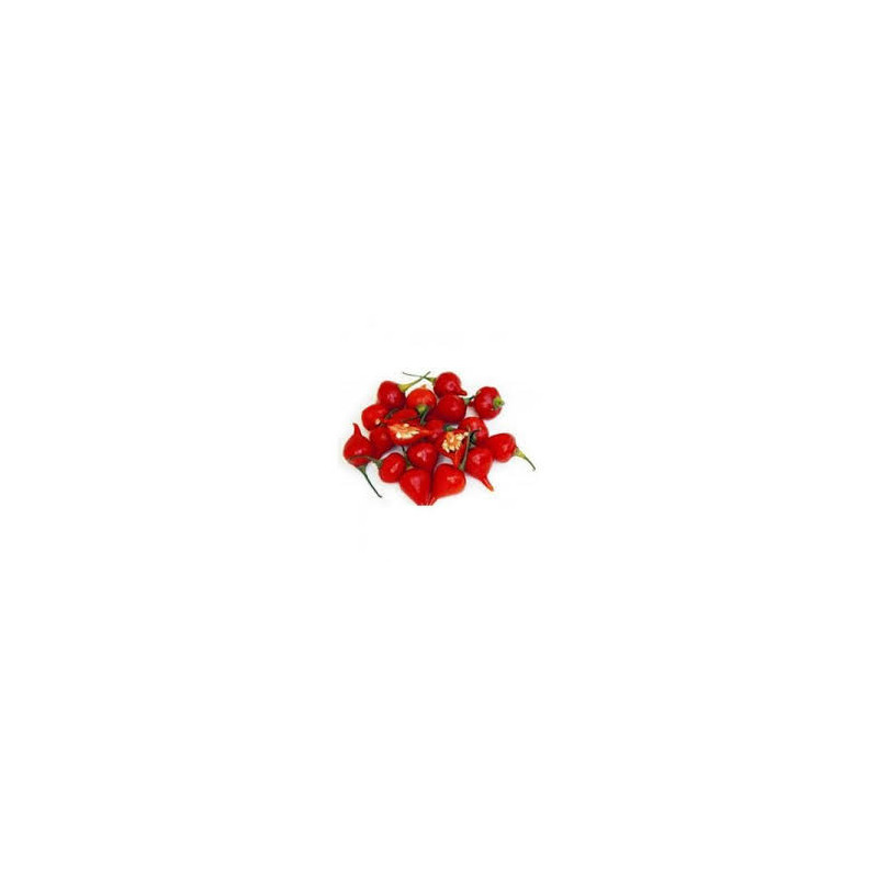 Pimenta Biquinho Red (