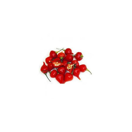 Pimenta Biquinho Red (