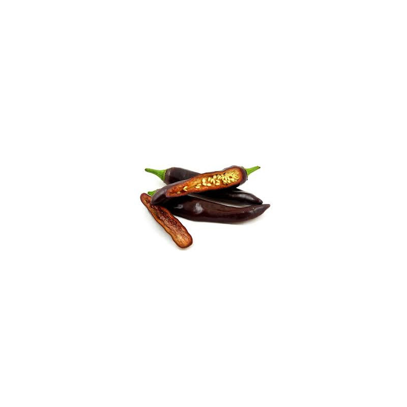 Pimenta Ethiopian Brown Berbere ( Capsicum Annuum)