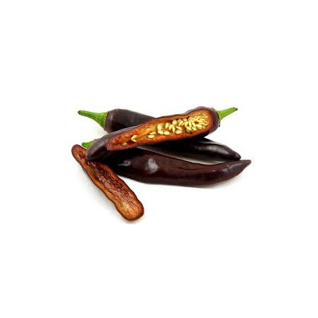 Pimenta Ethiopian Brown Berbere ( Capsicum Annuum)