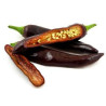 Pimenta Ethiopian Brown Berbere ( Capsicum Annuum)