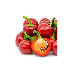 Pimenta Red Cherry ( Capsicum Annuum)