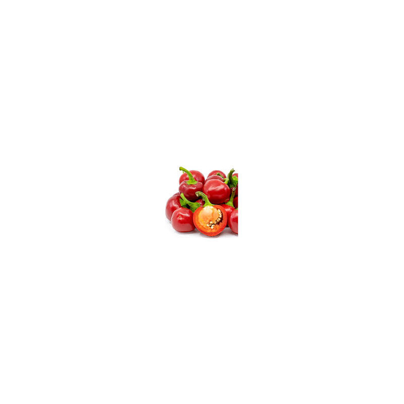 Pimenta Red Cherry ( Capsicum Annuum)