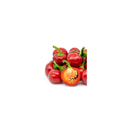 Pimenta Red Cherry ( Capsicum Annuum)