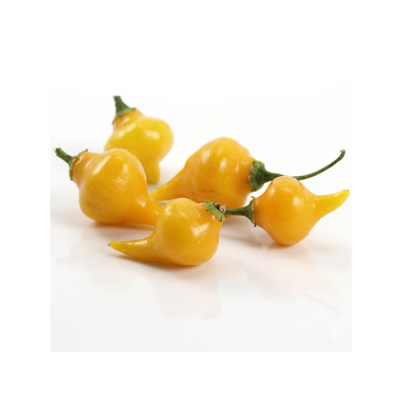 Pimenta Biquinho Yellow (Capsicum  Chinense)