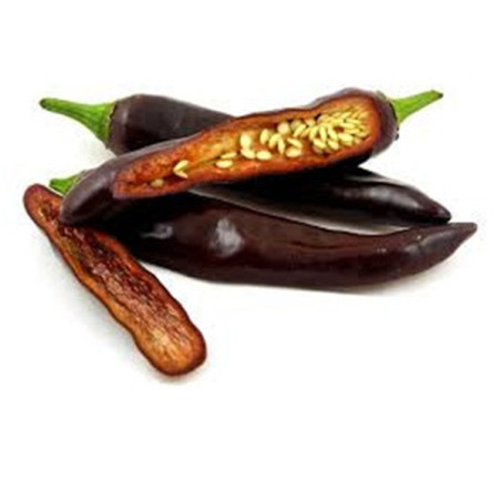 Pimenta Ethiopian Brown Berbere ( Capsicum Annuum)