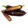 Pimenta Ethiopian Brown Berbere ( Capsicum Annuum)