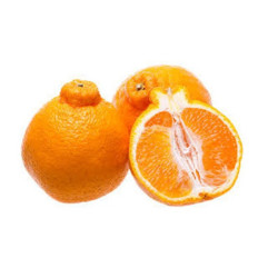Laranja Tangelo (Citrus X Tangelo)
