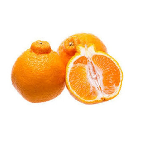 Laranja Tangelo (Citrus X Tangelo)