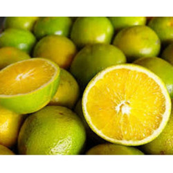 Laranja Pera Brasileira ( Citrus Sinensis)