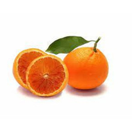 Laranja Morango ( Citrus Sinensis Fragosa)