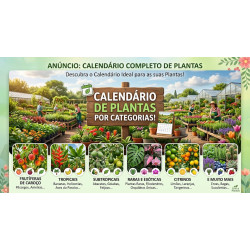 O ANO DAS FRUTÍFERAS 🌳