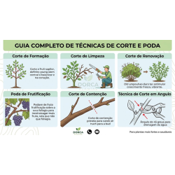 A ARTE DO CORTE 🌳