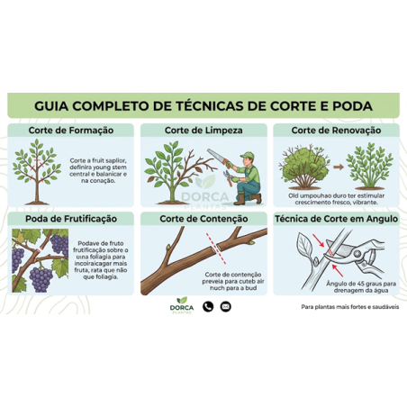 A ARTE DO CORTE 🌳