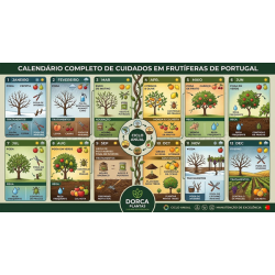 O POMAR 365 🌳🇵🇹