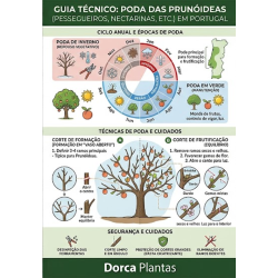 Poda das Prunóideas
